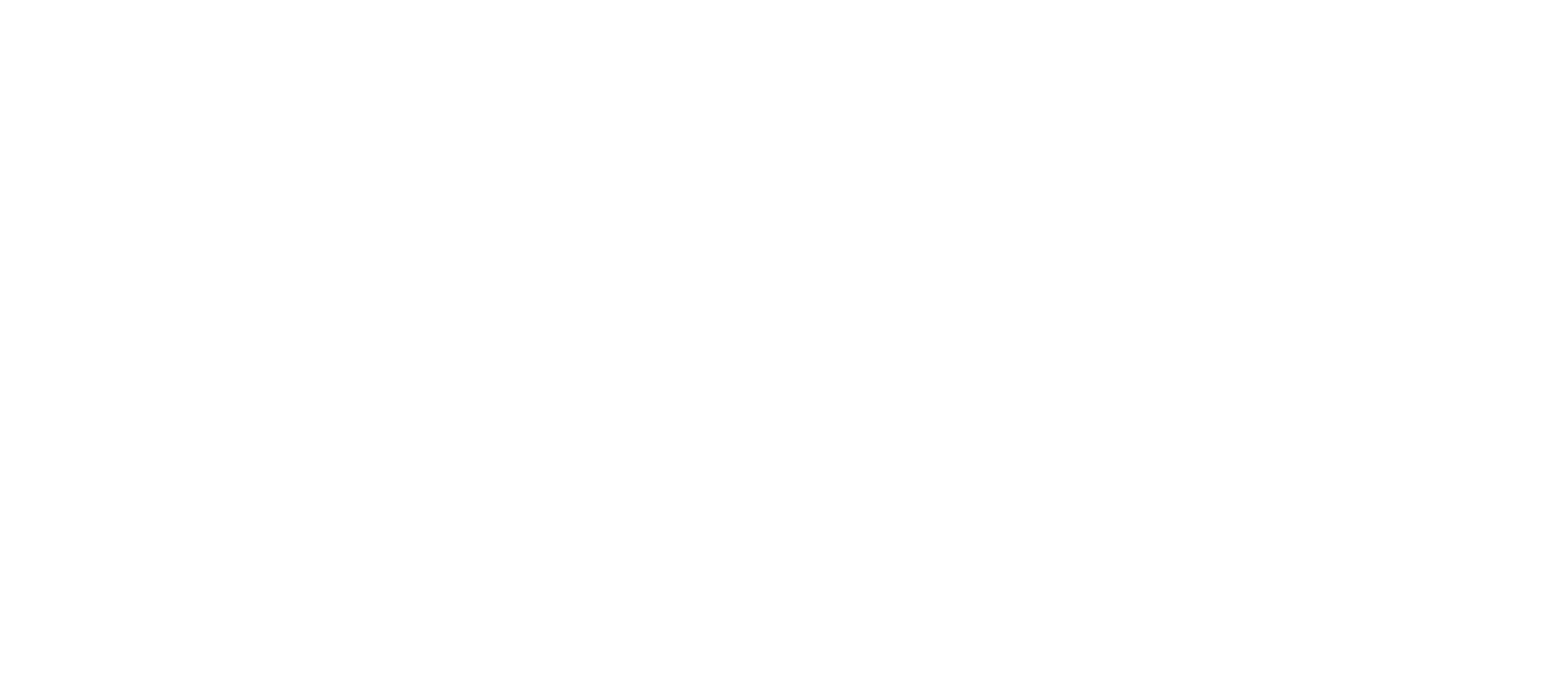 neraida_logo_white
